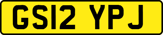 GS12YPJ