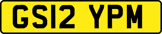 GS12YPM