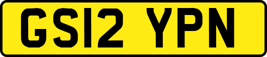 GS12YPN