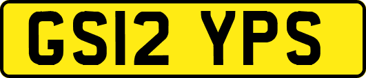GS12YPS
