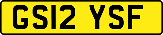 GS12YSF