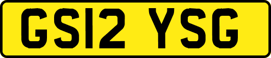 GS12YSG