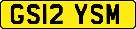GS12YSM