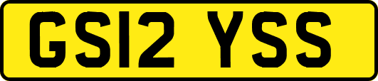 GS12YSS