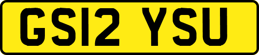 GS12YSU