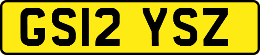 GS12YSZ