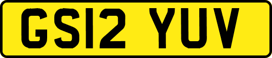 GS12YUV