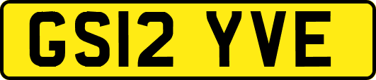 GS12YVE