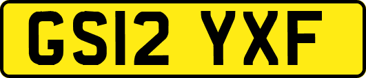GS12YXF