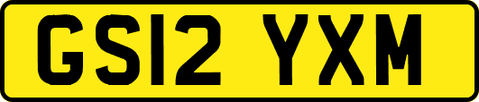 GS12YXM