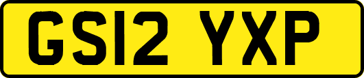 GS12YXP