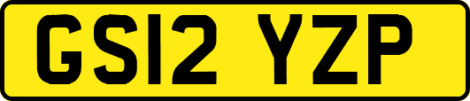 GS12YZP