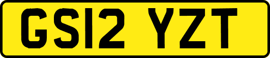 GS12YZT