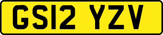 GS12YZV