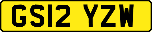 GS12YZW