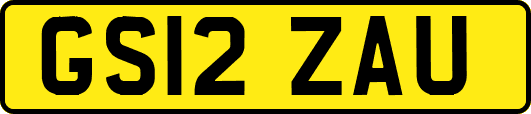 GS12ZAU