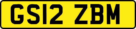 GS12ZBM
