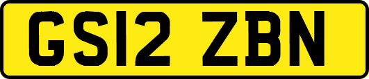 GS12ZBN