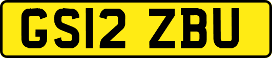 GS12ZBU