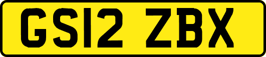 GS12ZBX