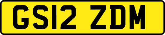 GS12ZDM