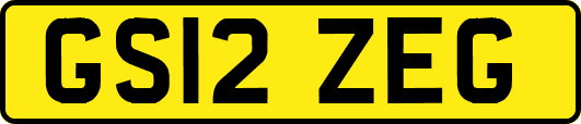 GS12ZEG