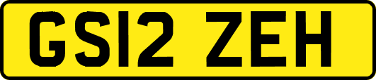 GS12ZEH