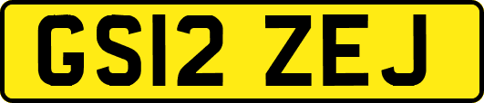 GS12ZEJ