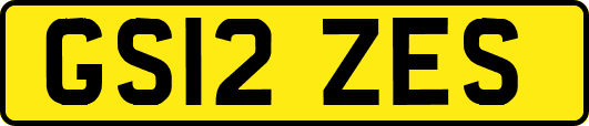 GS12ZES