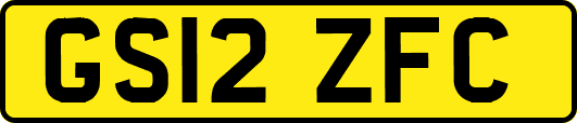 GS12ZFC