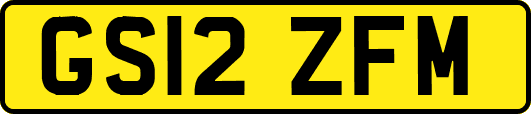 GS12ZFM
