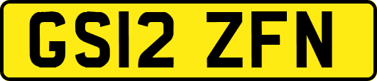 GS12ZFN