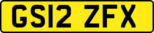 GS12ZFX