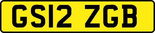 GS12ZGB