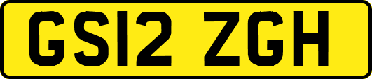 GS12ZGH