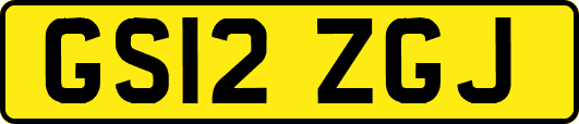 GS12ZGJ
