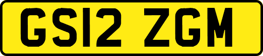 GS12ZGM
