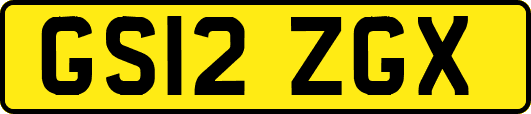 GS12ZGX