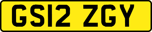 GS12ZGY