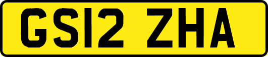 GS12ZHA