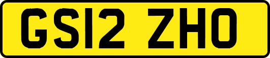 GS12ZHO