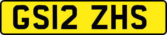 GS12ZHS