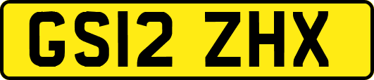 GS12ZHX