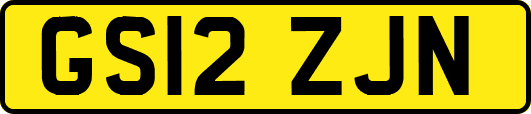 GS12ZJN