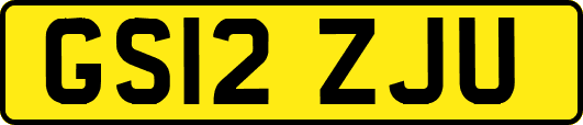 GS12ZJU