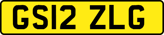 GS12ZLG