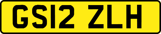 GS12ZLH