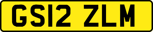 GS12ZLM