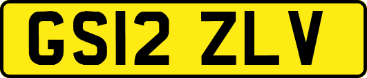 GS12ZLV