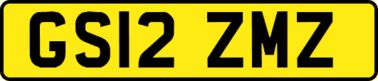 GS12ZMZ